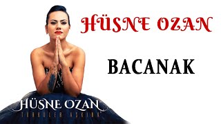 Hüsne Ozan -  Bacanak (Official Audio - Türkü) [© 2020 Soundhorus]