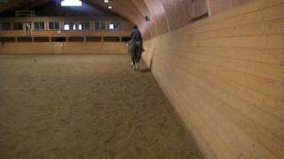 Lena Och Nougat E.nobel,Trav Bakifrån