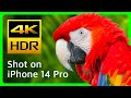 iPhone 14 Pro Max: Amazing 4K HDR for a Phone! | Dolby Vision &amp; Prores Short Demo