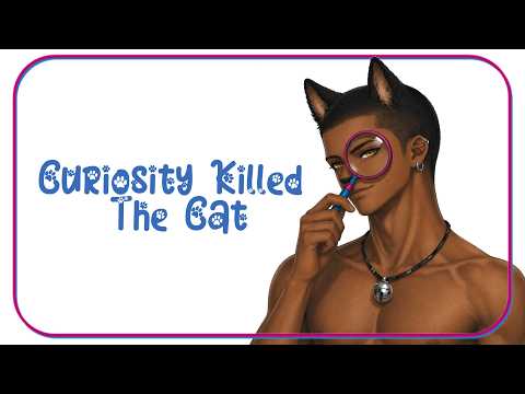 The Bhucha - Curiosity Killed The Cat (Official Lyric Visualizer)