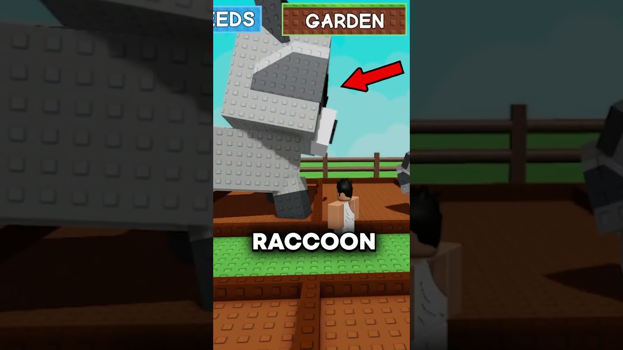 РЕДЧАЙШИЙ ЕНОТ в саду!