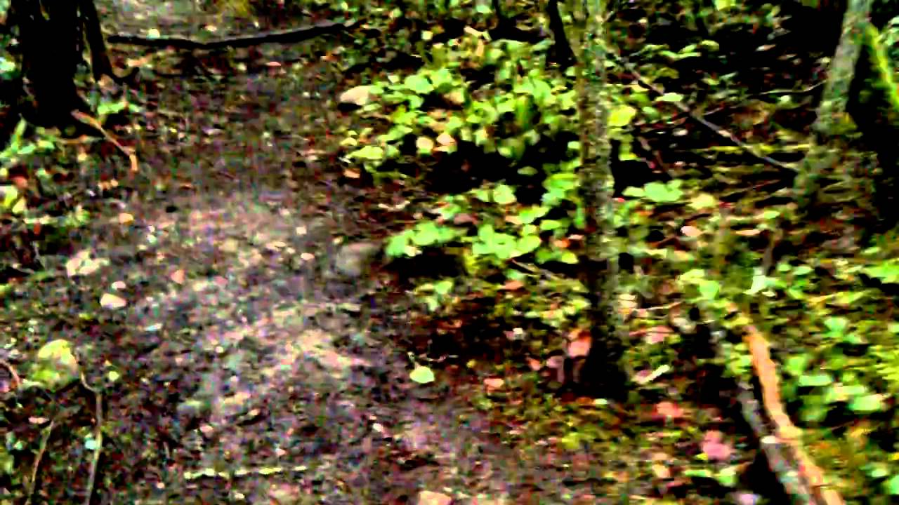 Re: Online Socializing