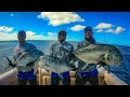 EPIC Giant Trevally Fishing on Topwater!