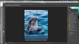 Slideshow tutorial for epub