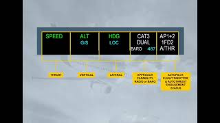 Auto Flight   Flight Mode Annuciator (3)
