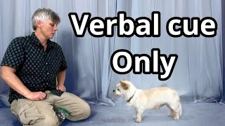 Kikopups tip for training a verbal cue with no hand signals by Dog Training by Kikopup 2,111 views 6 days ago 5 minutes, 8 seconds