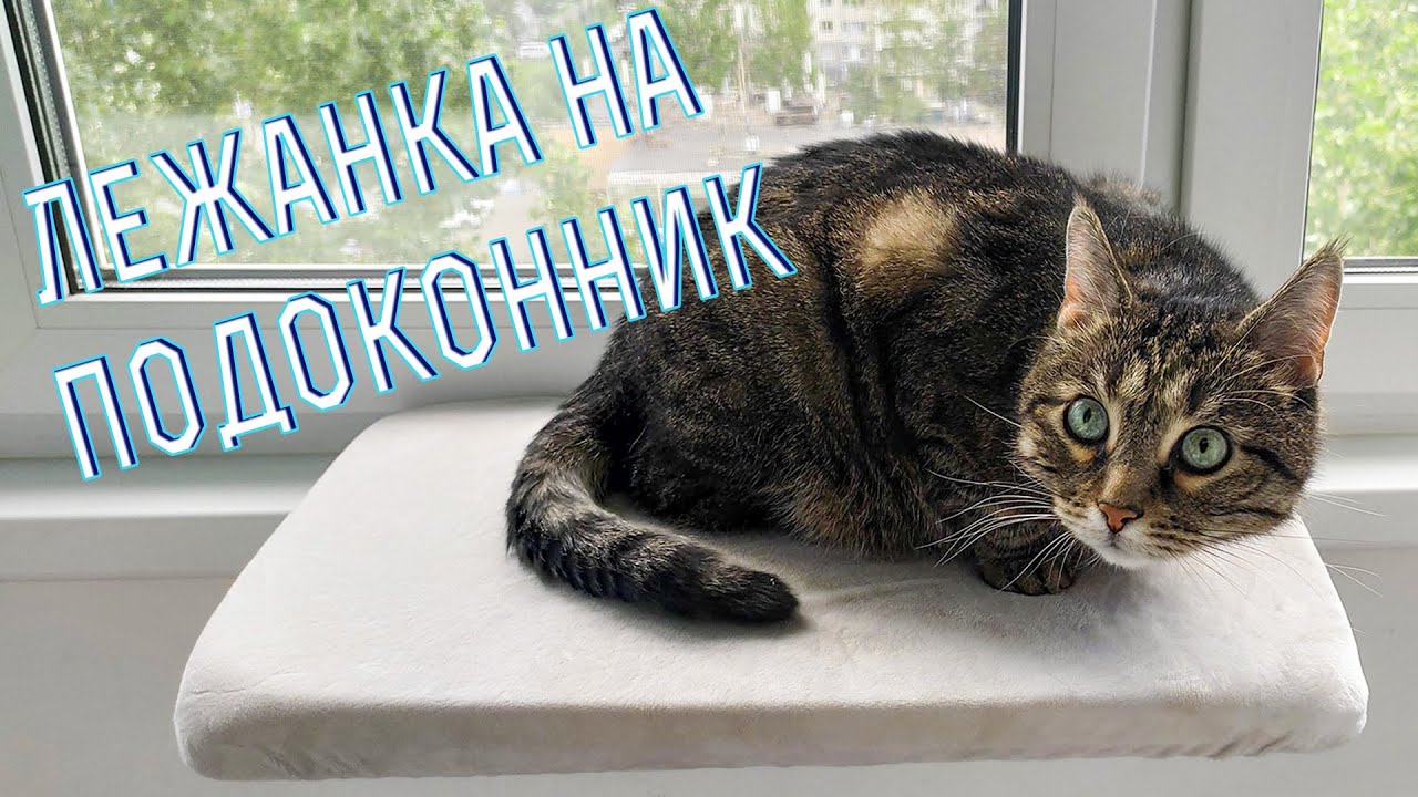 Лежанка для кота на узкий подоконник! Кот Штрудель тестирует. - YouTube