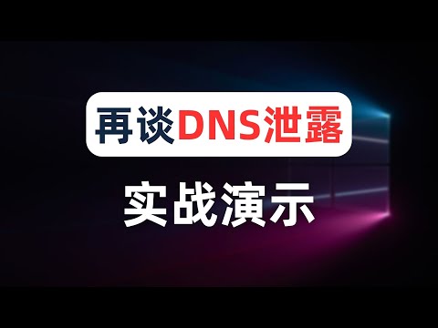 【DNS泄露】实战演示DNS泄漏，全局模式就不会dns泄漏？解答DNS泄露的争议，最简单clash配置DNS方法，fakeip到底会比realip提升网速吗？跨境电商网络环境要求高该如何防止DNS洩露