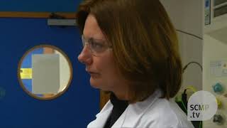 British and Chinese scientists develop new self-cleaning paint