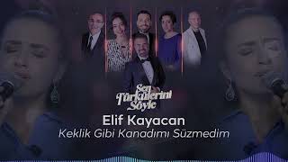 Elif Kayacan - Keklik Gibi Kanadımı Süzmedim - Sen Türkülerini Söyle @trt1