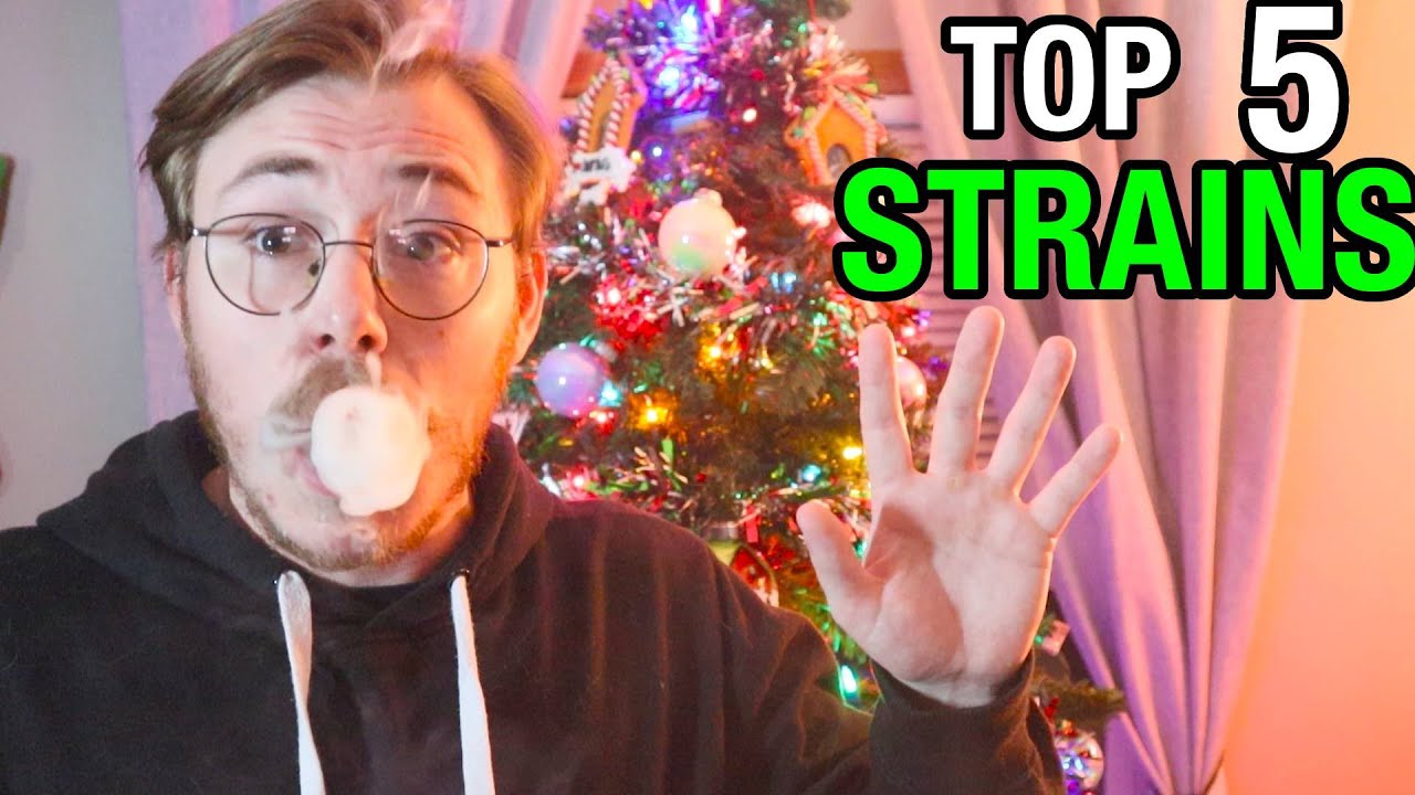 ТОП-5 СОРТОВ 2025 ГОДА