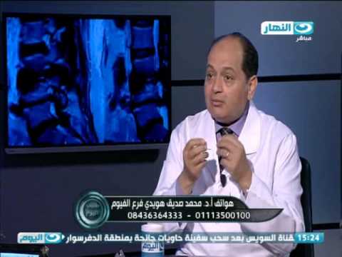 فيديو: من أين أتت الغضروف؟