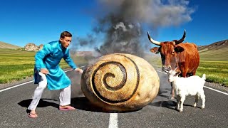 Famous Emergency Rescue Team Saves Exhausted Cow From Giant Python’s Deadly Bite🐂🐍 Net Worth