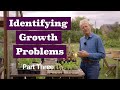 Identify problems 3 includes squash, bolting, large roots, compost