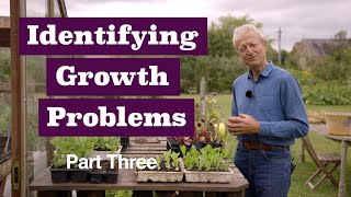 Identify problems 3 includes squash, bolting, large roots, compost