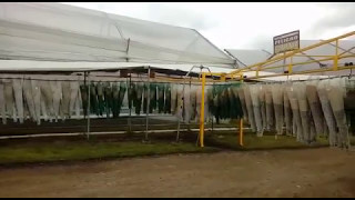 Cable Vías Para El Agro