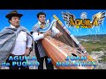 AGUILA DE PUQUIO -  SIN PADRE SIN MADRE