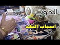 برج الحوت لية حبيبك بيبعد فجأة أسرار وجع القلب اللي محدش شايفها 