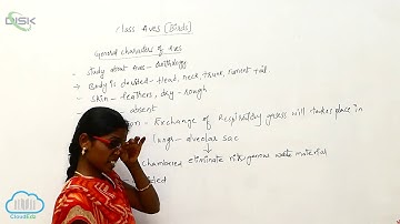 PH Tetrapoda || Aves 2 || Disk Telangana