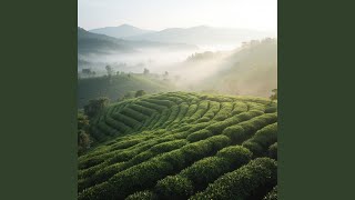 Saat Senja Jatuh Perlahan