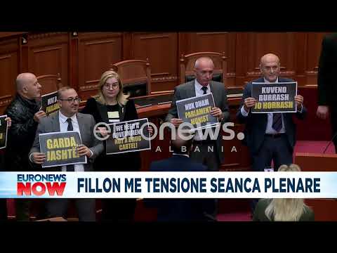 Fillon me tensione seanca plenare...