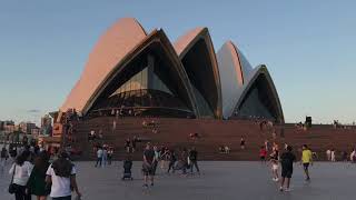 SYDNEY HARBOUR 🇦🇺