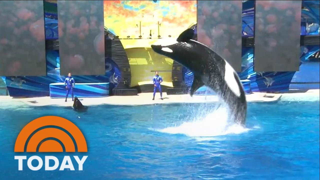 How Do I Shut Down Seaworld?