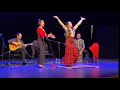 Sobre Flamenco Concert (Istanbul-Atasehir)