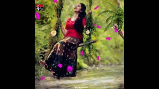 Fular Gondho vora bathash ease amake Pagal kore status video song / love & Romantic status video