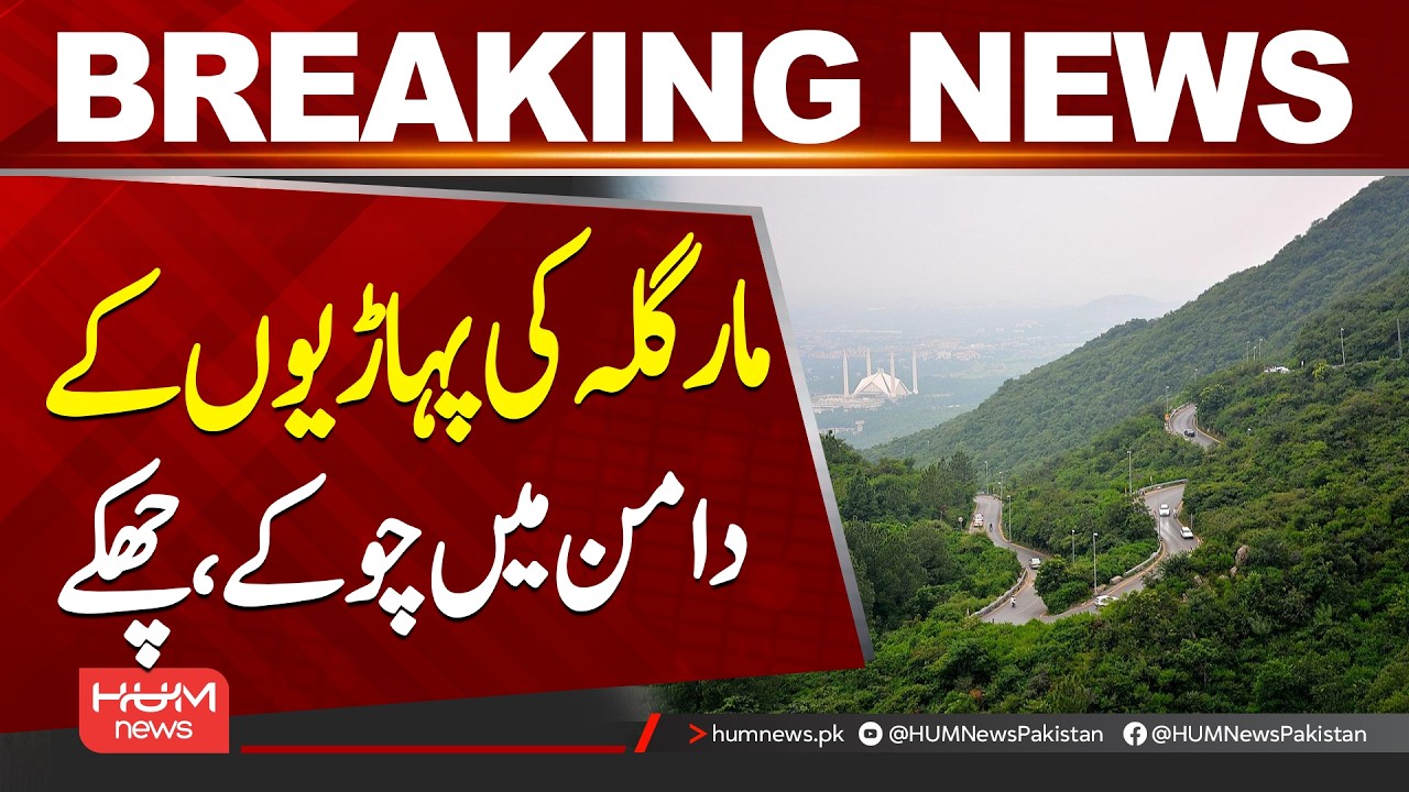 Cricket Action at the Foothills of Margalla Hills | Exciting News from Islamabad| Hum News |Pakistan