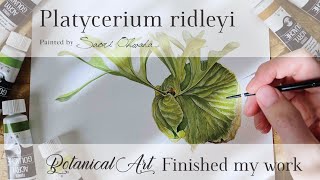 Finished My Artwork Platycerium Ridleyi ビカクシダリドレイ ボタニカルアート Youtube