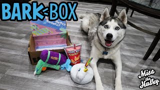 BarkBox Unboxing | June 2025