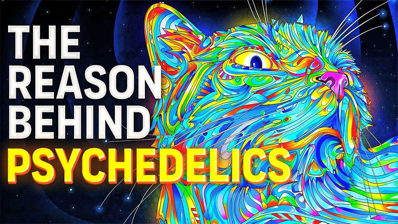 Video Why Psychedelics Are Fueling a Mental Health Revolution - YouTube