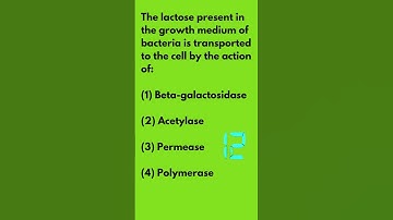 NEET 2024 PYQ on Molecular Basis of Inheritance  #biologyquiz #examrevision #neet #neet2024
