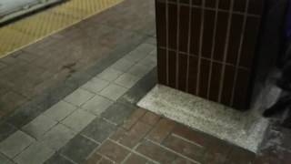 TTC T1 5057