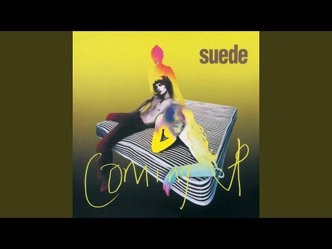 Sadie - Suede