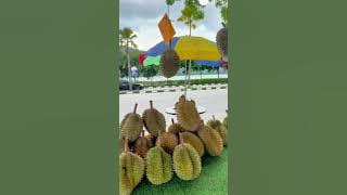 Nindiaaaa lokasi dia