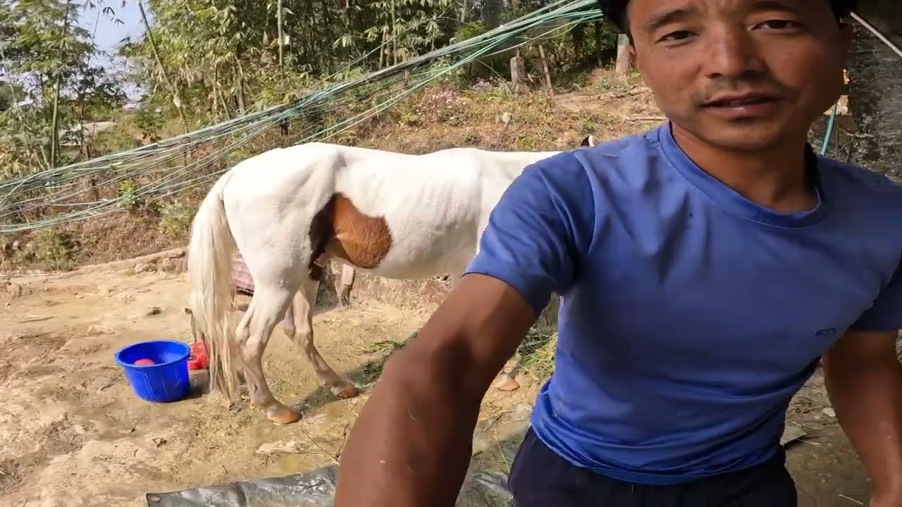 Pushpa lai dherai dherai maya❤️🙏🏻