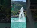 4k New Nature Status Full Screen Nature Whatsapp Status Naturevideo Short Status Tiktok Haven 