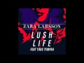 Zara Larsson - Lush Life (feat. Tinie Tempah) [Audio]