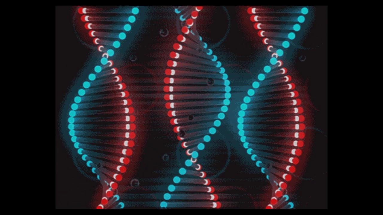 TikTok SOUND EFFECTS 3 HD YouTube