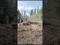 27 сентября 2023 г.