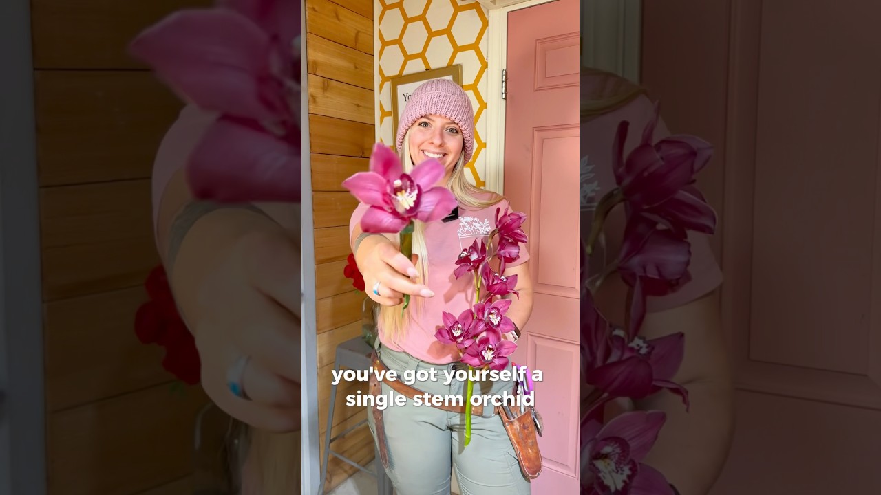 Orchids as a Cut flower!! Tips & Tricks 🤟🔥 