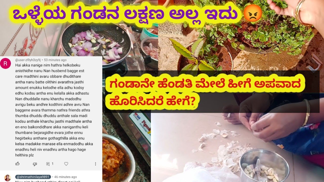 ಗಂಡಾನೇ ಹೆಂಡತಿ ಮೇಲೆ ಹೀಗೆ ಅಪವಾದ ಹೊರಿಸಿದರೆ ಹೇಗೆ ? Sunday vlog