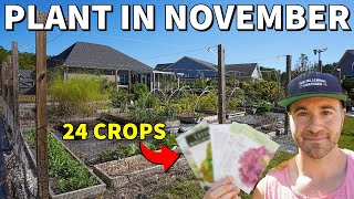 24 Veggies You Can Still Plant In November RIGHT NOW!