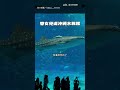 【餓了嗎】帶女兒逛水族館！ 見魚蝦喊「想吃」逗笑全網｜水族館｜女兒｜親子｜海產｜蝦