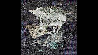 Death Grips Full Moon Death Classic