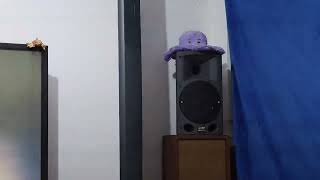 Celestion KR8 (With Air Leaks) Audiophile Test - Video 2 - Bubbles