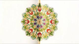 The Immortal Alchemy Adult Mandala Pattern Coloring Book