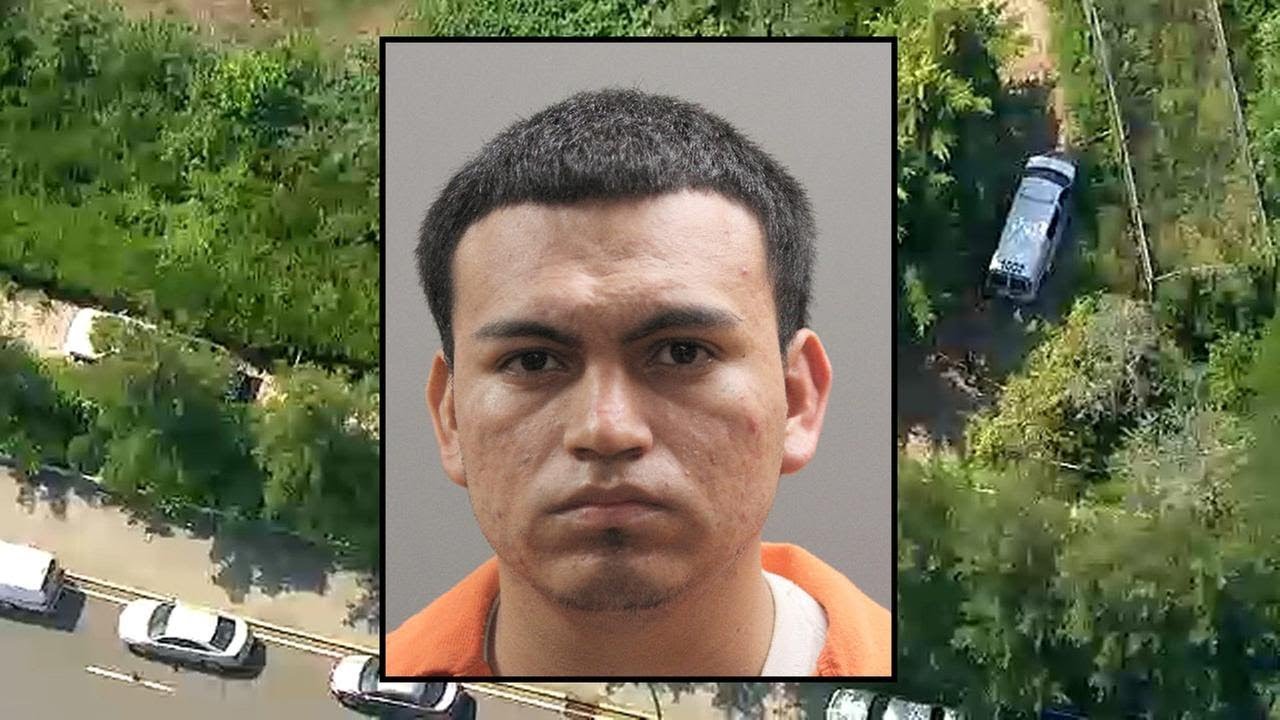 Arrest after remains believed linked to MS-13 found in Long Island woods